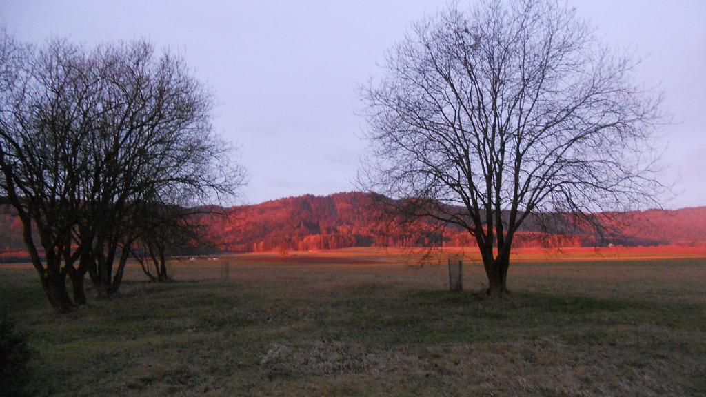 U Dvou Lipek Pod Broumovskymi Stenami Esterno foto